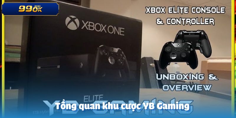 Tổng quan về khu vực cá cược tại YB Gaming