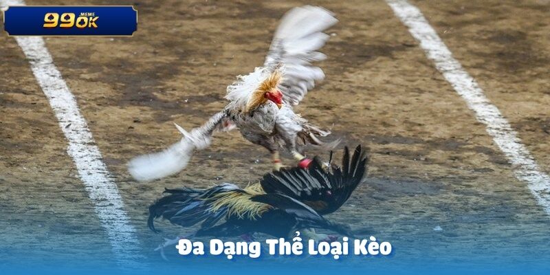 Đá gà WS168 tại 99OK cung cấp nhiều loại kèo cược phong phú