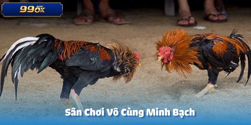 Tất cả trò chơi tại đá gà CQ9 đều được kiểm định kỹ càng
