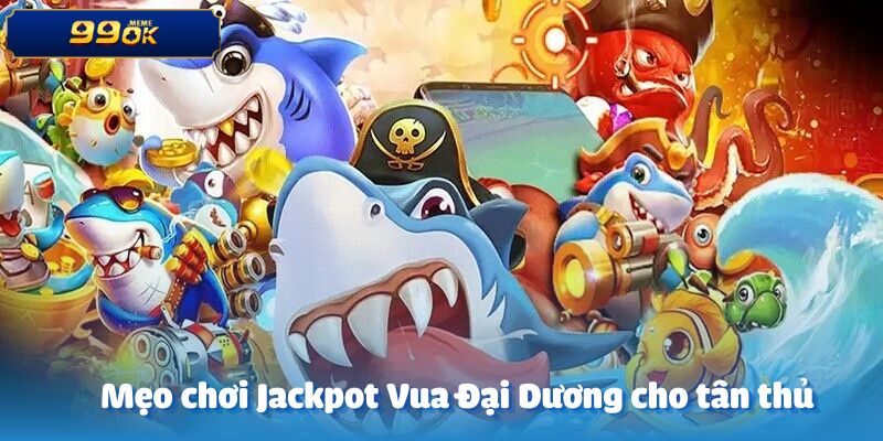 Lời khuyên chơi Jackpot Vua đại dương cho người mới bắt đầu