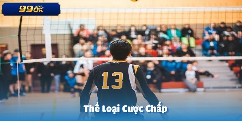 Cá cược bóng chuyền tại 99OK mang đến nhiều kèo hấp dẫn