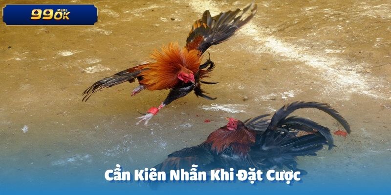 Hội viên của 99OK cần có chiến lược quản lý vốn hợp lý